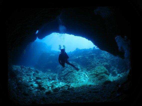 专家学者齐聚山城 探讨全国高校财税数字化人才定向培养